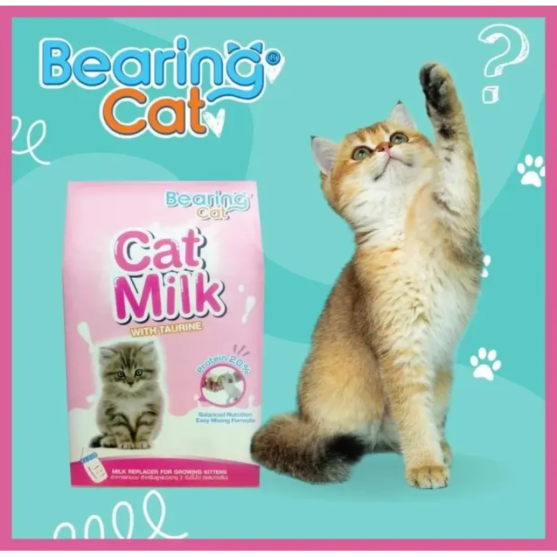 Bearing cat milk sale